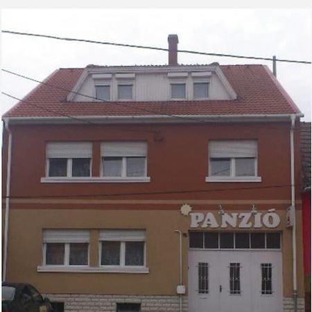 Отель Napsugar Panzio Вац Экстерьер фото